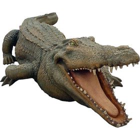 Crocodile