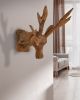 Teak Deer Head with Base